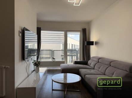 Pronájem bytu, 1+1, 41 m²