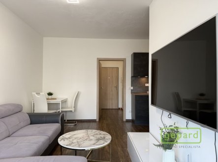 Pronájem bytu, 1+1, 41 m²