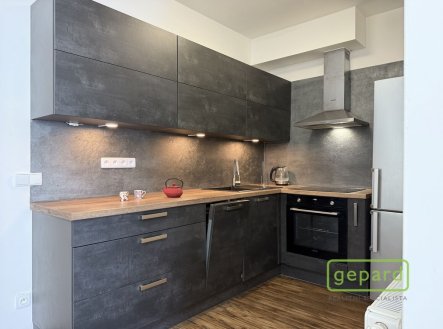 Pronájem bytu, 1+1, 41 m²