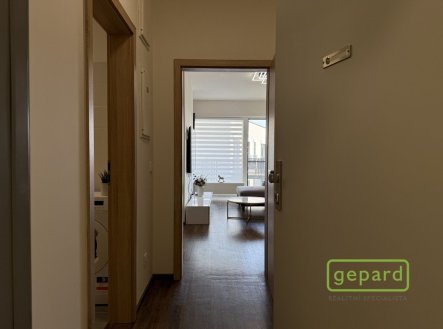 Pronájem bytu, 1+1, 41 m²