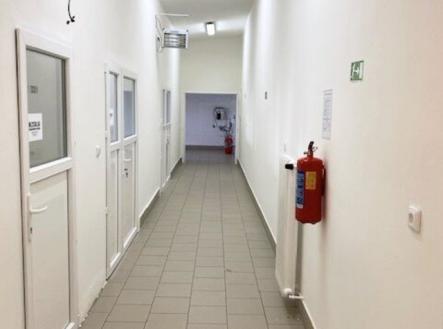 Prodej jiné, 700 m²