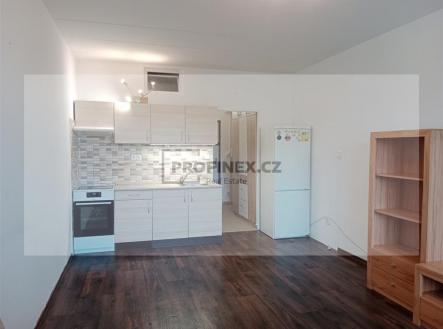 Pronájem bytu, 1+kk, 31 m²