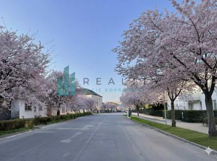 Prodej bytu, 3+kk, 74 m²