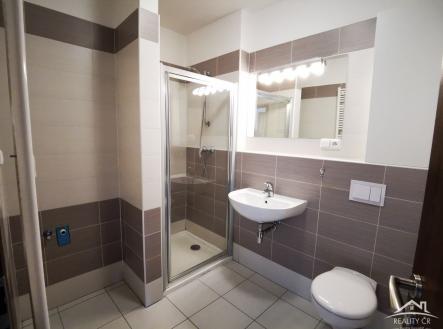 Pronájem bytu, 3+1, 100 m²