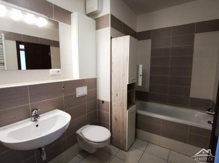 Pronájem bytu, 3+1, 100 m²