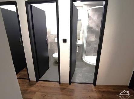 Pronájem bytu, 3+kk, 63 m²