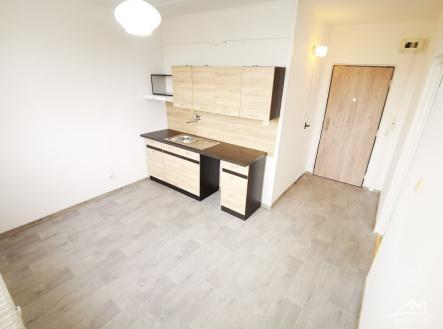 Pronájem bytu, 1+1, 39 m²