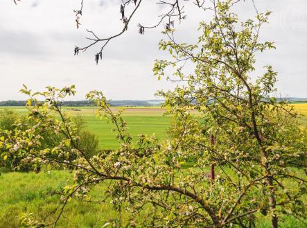 Prodej pozemku pro bydlení, 558 m²