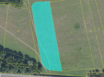 Prodej - pozemek, trvalý travní porost, 13 547 m²