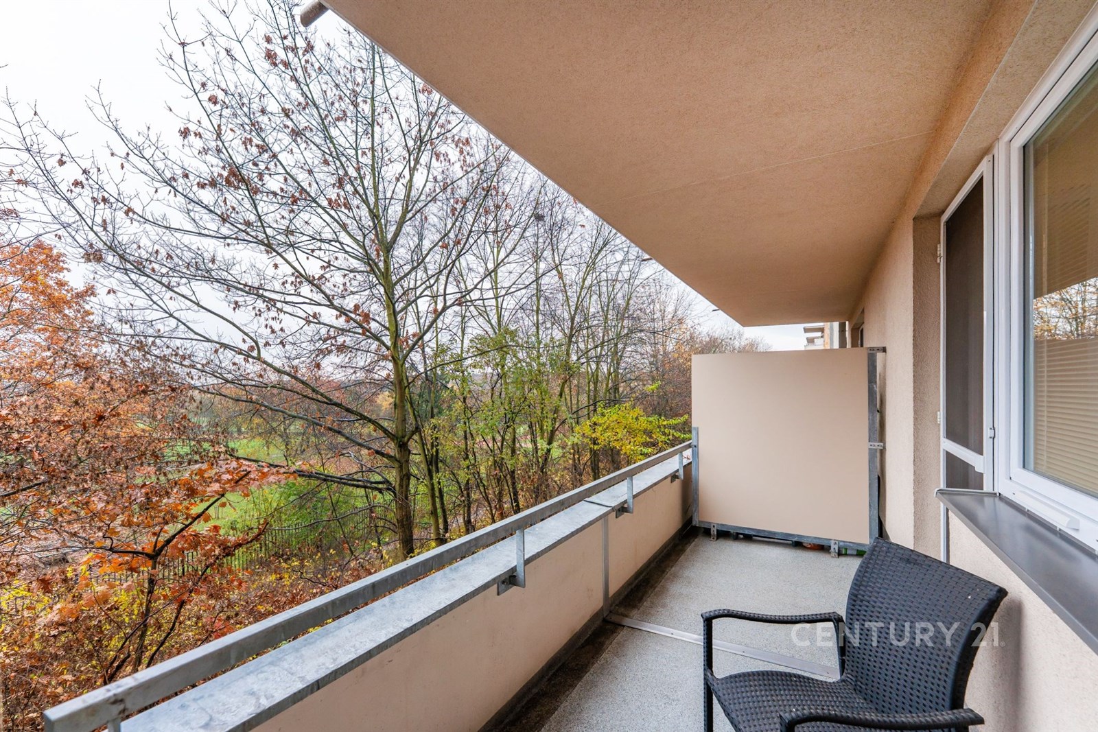 Fotku se nepodařilo načíst.