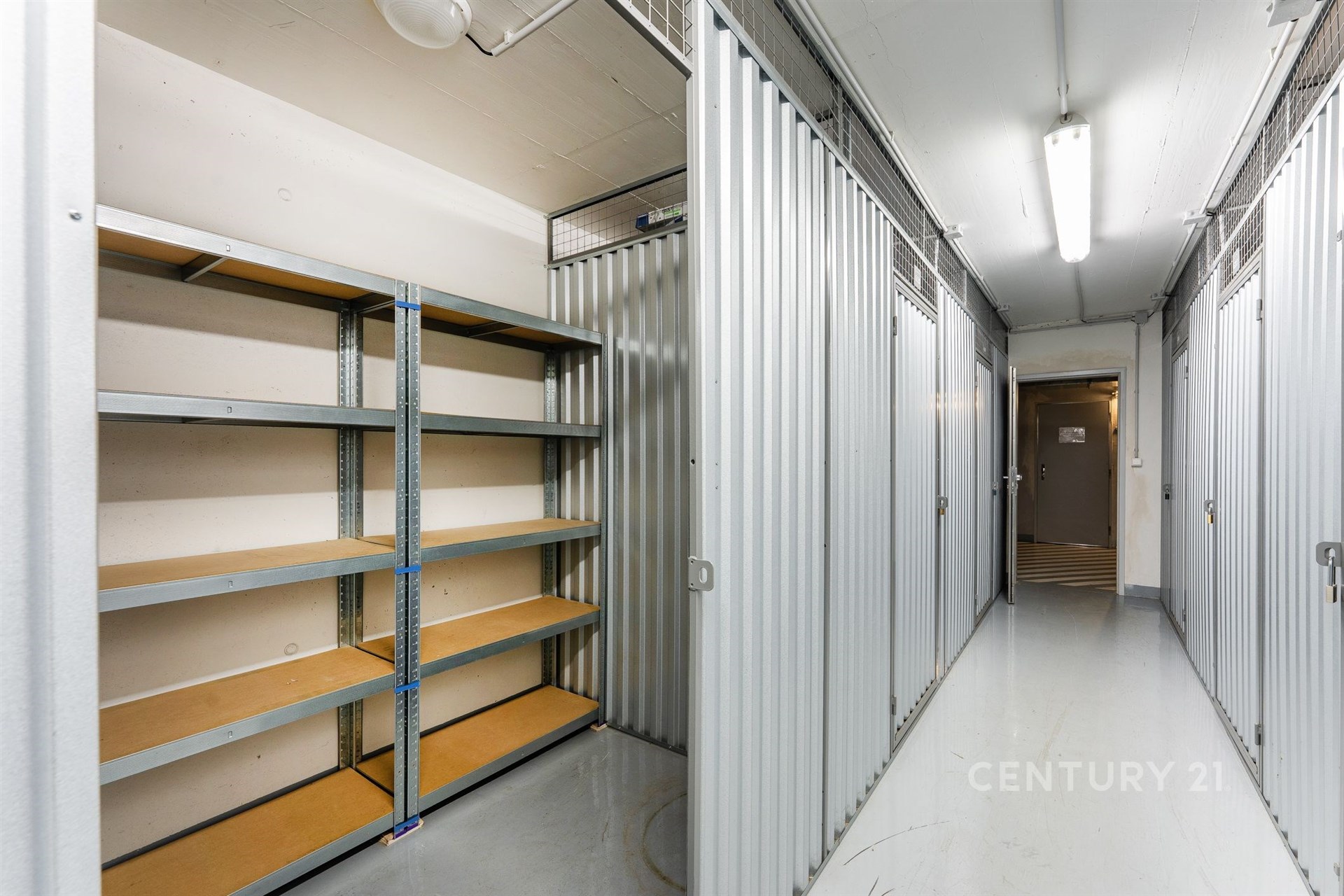 Fotku se nepodařilo načíst.