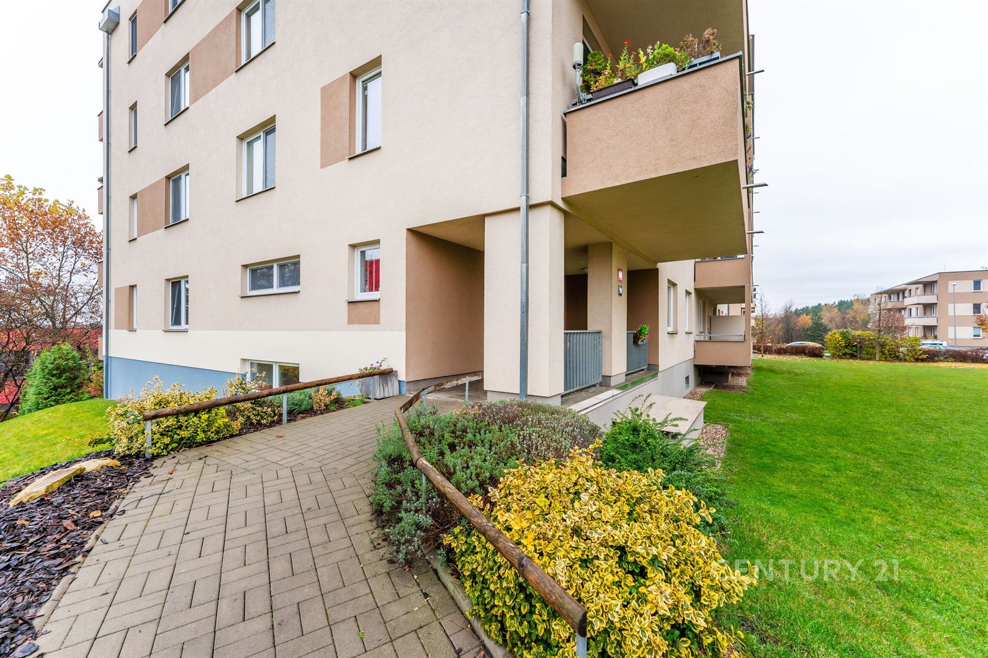 Fotku se nepodařilo načíst.