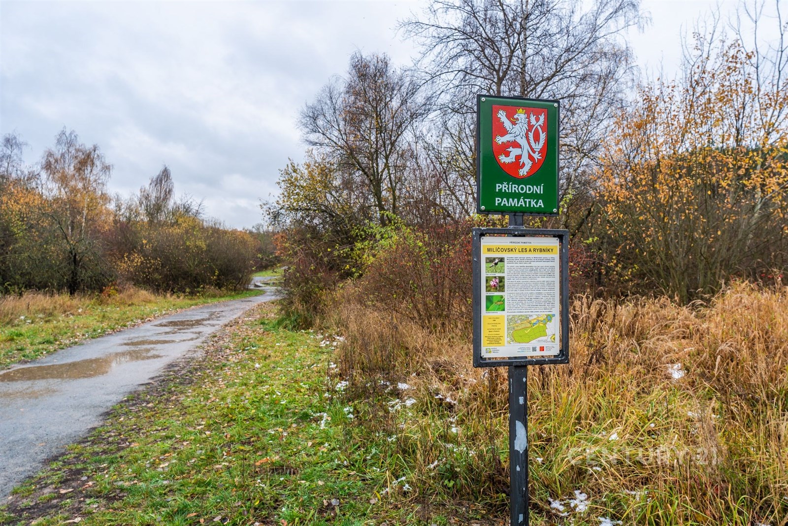 Fotku se nepodařilo načíst.
