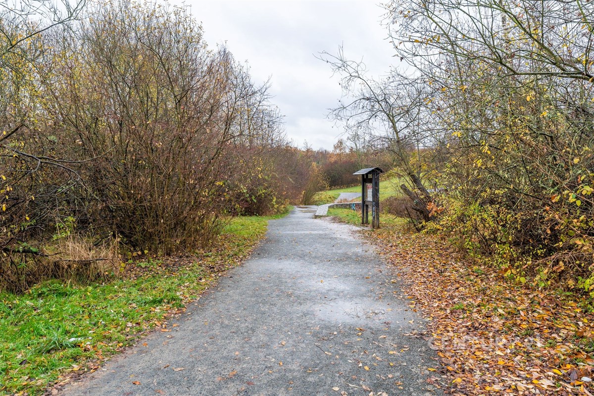 Fotku se nepodařilo načíst.