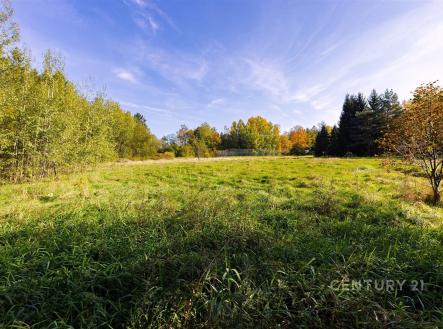 Prodej pozemku pro bydlení, 2 511 m²