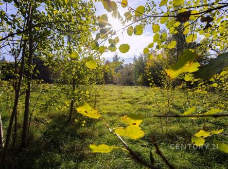 Prodej pozemku pro bydlení, 2 511 m²