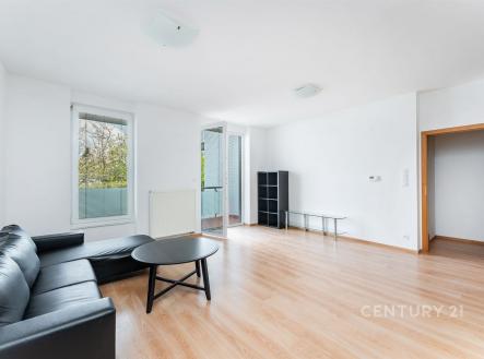Pronájem bytu, 1+kk, 49 m²
