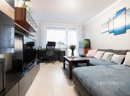 Prodej bytu, 3+1, 53 m²