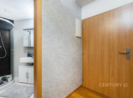 Prodej bytu, 2+kk, 44 m²