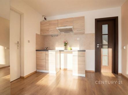 Prodej bytu, 1+kk, 26 m²