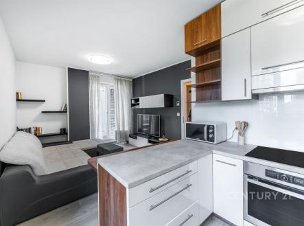 Pronájem bytu, 2+kk, 54 m²