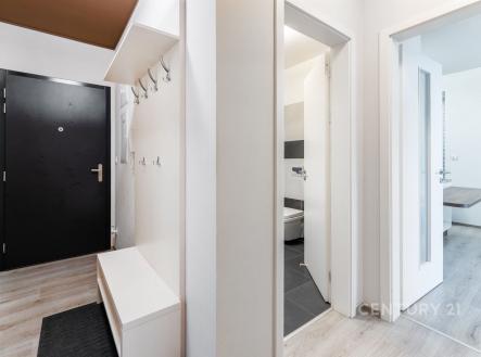 Pronájem bytu, 2+kk, 54 m²