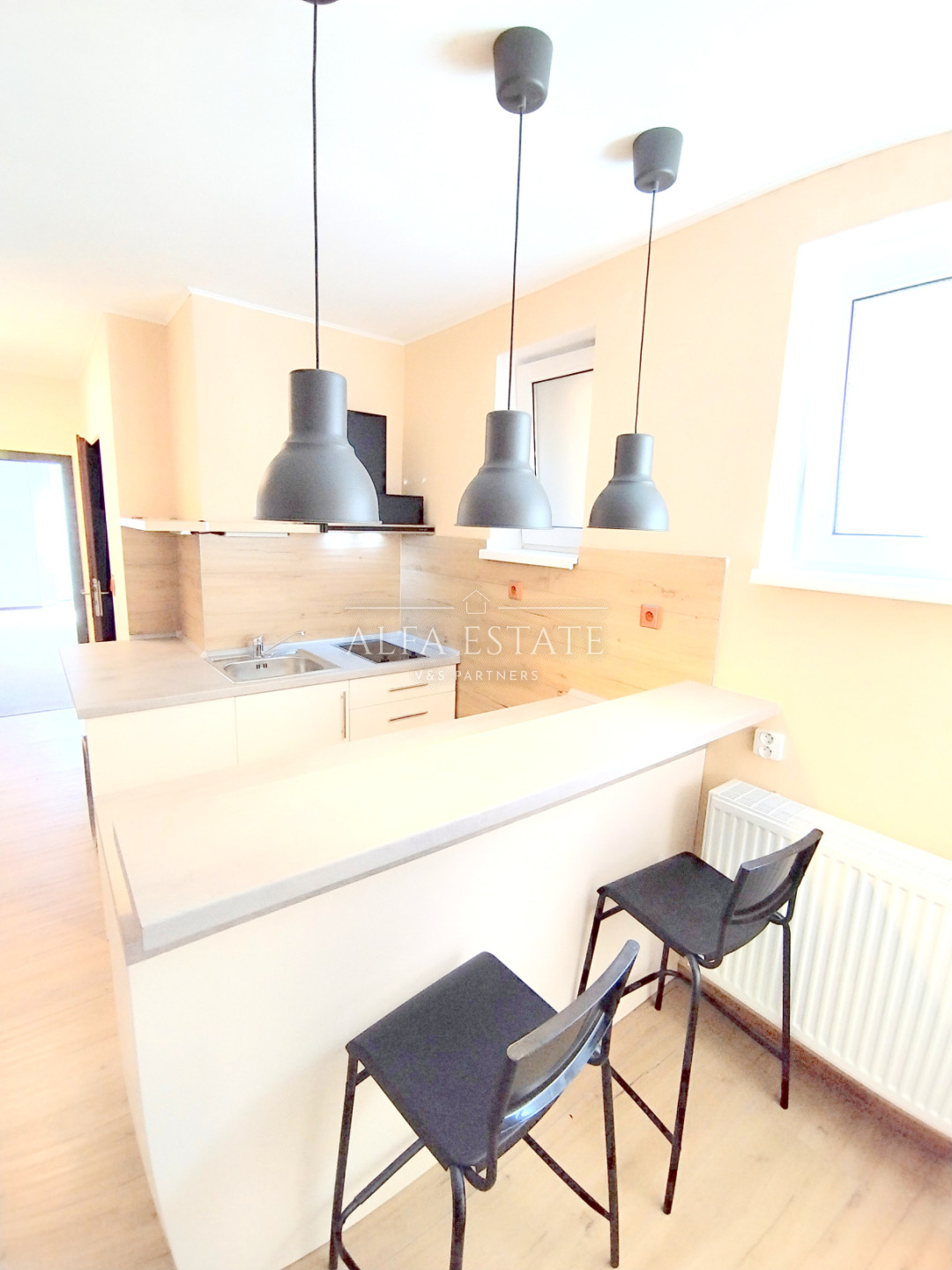 Pronájem 1+1, Pod Parkem, Dalovice