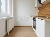Pronájem bytu, 1+1, 41 m²
