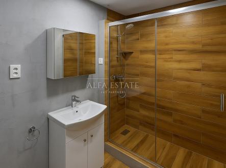 Pronájem bytu, 1+1, 41 m²