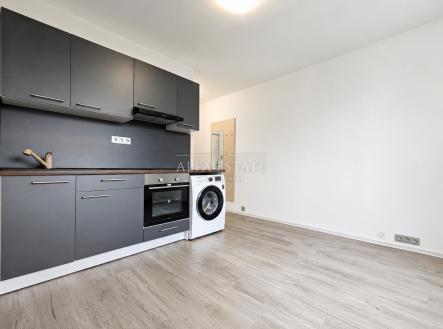 Pronájem bytu, garsoniéra, 20 m²