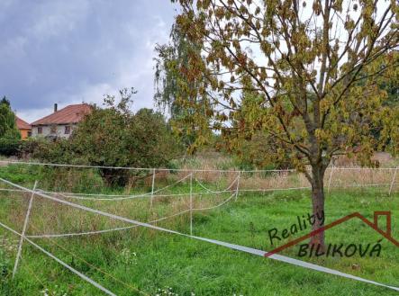 Prodej pozemku pro bydlení, 994 m²