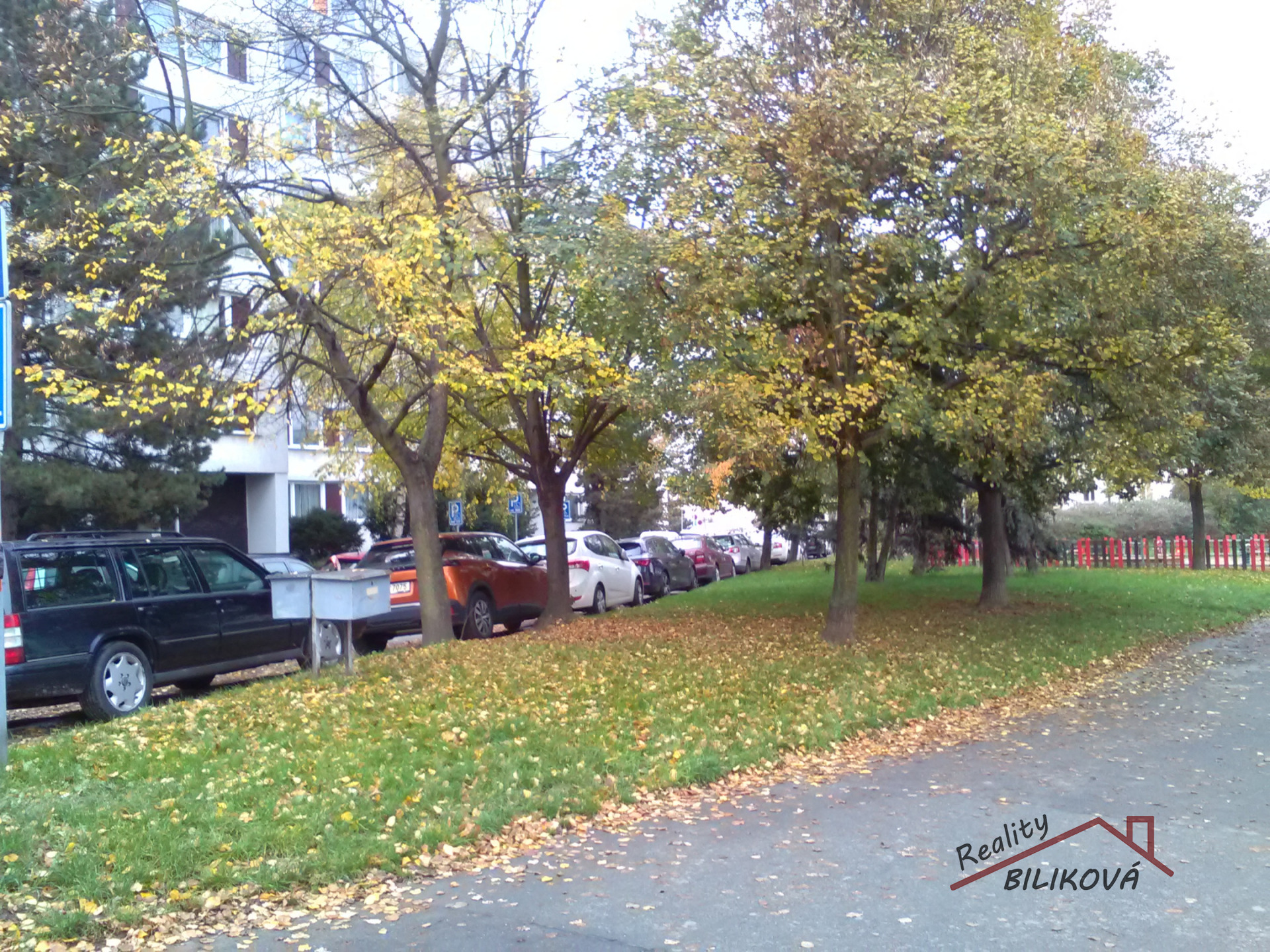 Fotku se nepodařilo načíst.