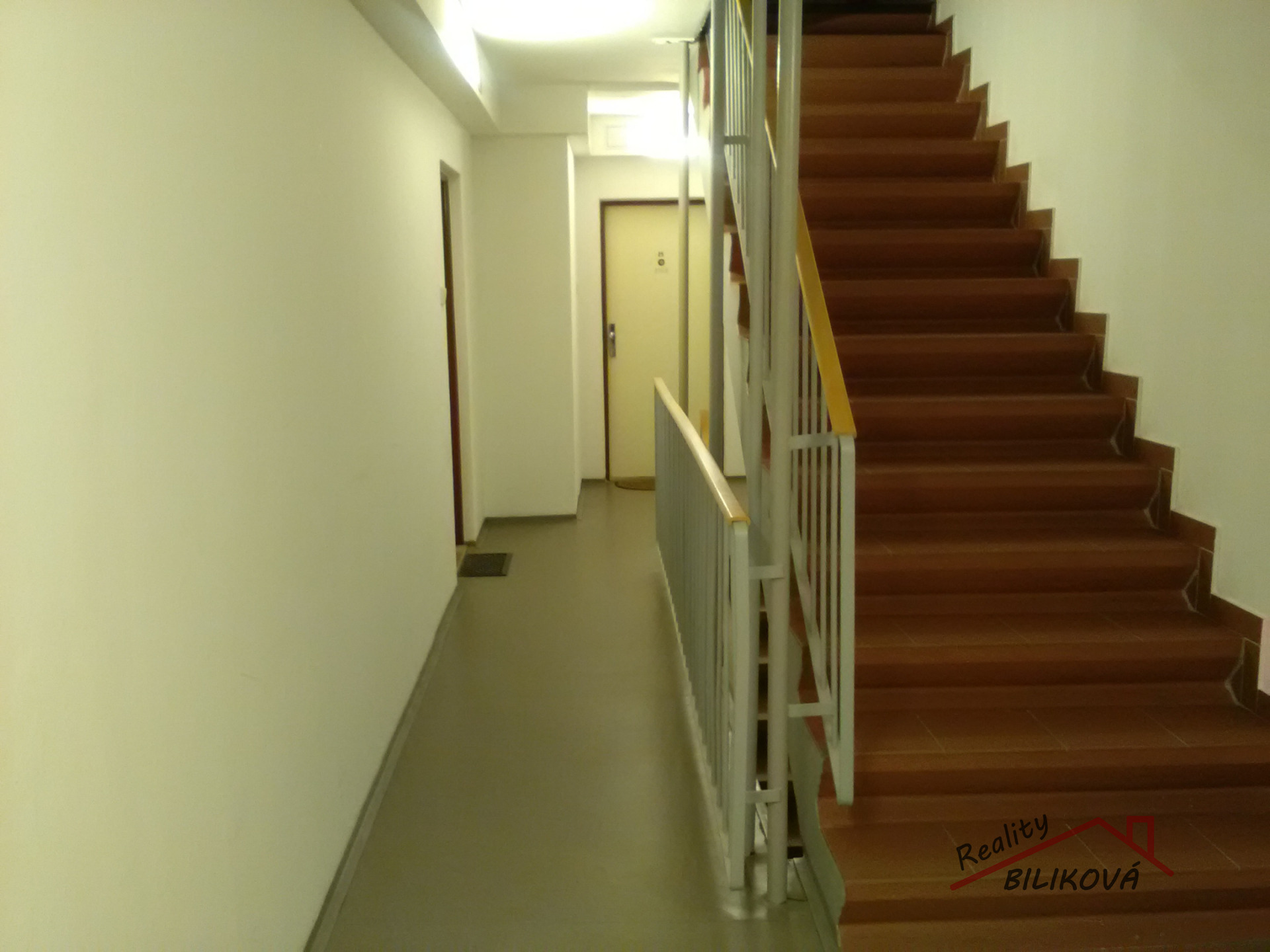 Fotku se nepodařilo načíst.