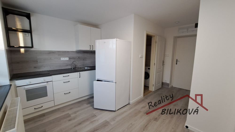 Pronájem bytu 1+1, Brandýs nad Labem- Stará Boleslav