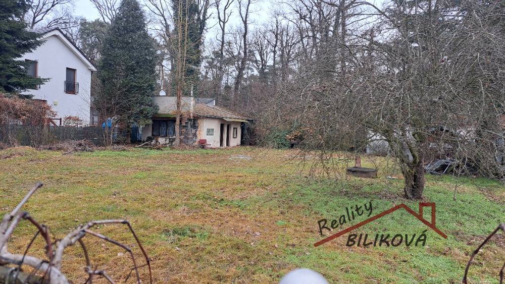 Prodej pozemku s chatou, Káraný