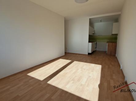 Prodej bytu, 2+kk, 44 m²