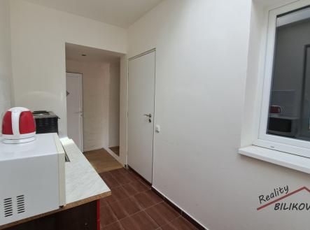 Pronájem bytu, 1+1, 28 m²