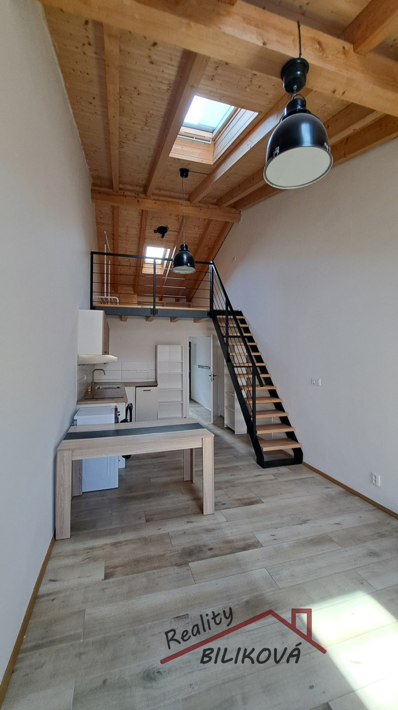 Pronájem apartmánu 1+kk,  Brandýs nad Labem- Stará Boleslav