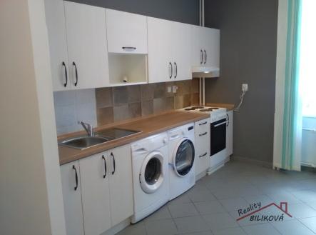 Pronájem bytu, 1+1, 45 m²