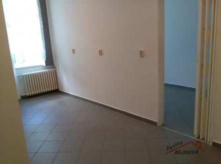 Pronájem bytu, 1+1, 45 m²