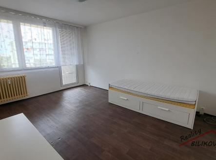 Pronájem bytu, 1+1, 38 m²