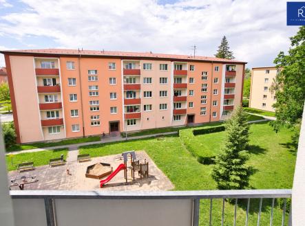 DSC02294