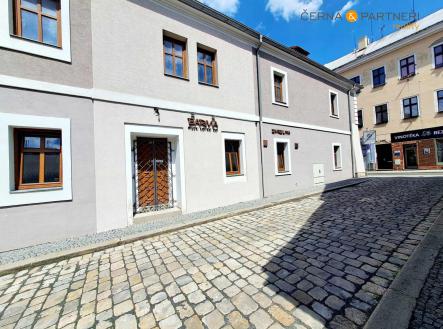 Prodej - dům/vila, 1 160 m²