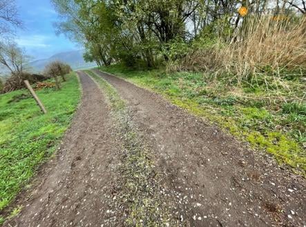 Prodej - pozemek, trvalý travní porost, 3 323 m²