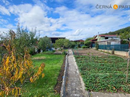 Prodej - pozemek, zahrada, 286 m²