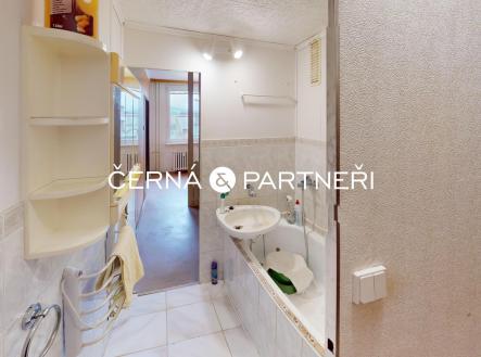 Prodej-druzstevniho-bytu-31-ul-Jana-Kozina-Teplice-Bathroom.jpg