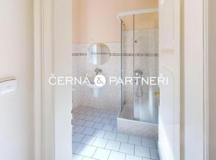 Pronájem bytu, 3+1, 90 m²