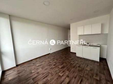 Prodej bytu, 1+kk, 24 m²