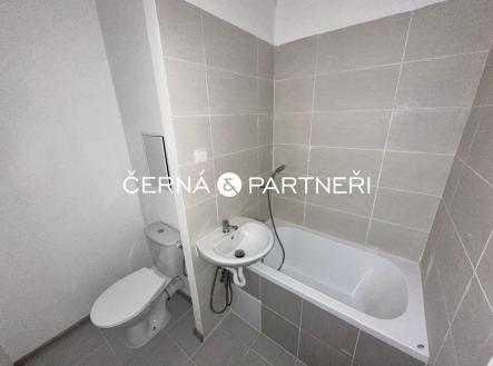 Prodej bytu, 1+kk, 24 m²