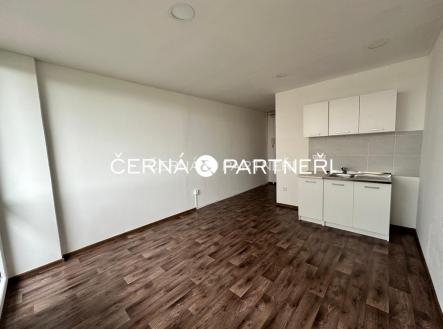 Prodej bytu, 1+kk, 24 m²